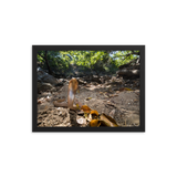 Javan Spitting Cobra (Juvenile)