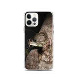 Coastal Carpet Python - iPhone Case