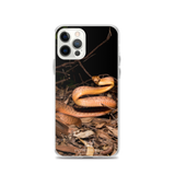 Brown Tree Snake - iPhone Case