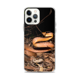 Brown Tree Snake - iPhone Case