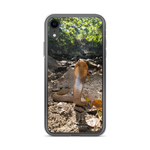 Javan Spitting Cobra (juvenile) - iPhone Case