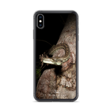 Coastal Carpet Python - iPhone Case